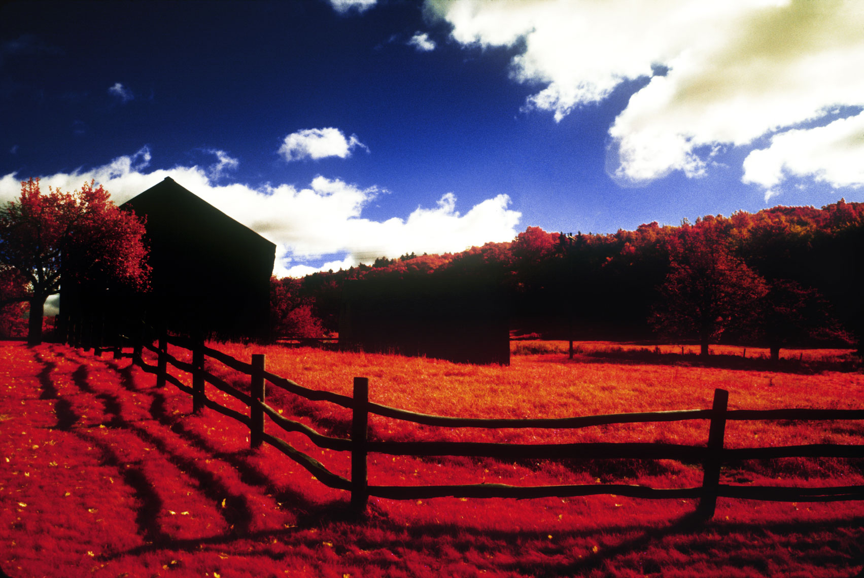 08_Infrared_Barn