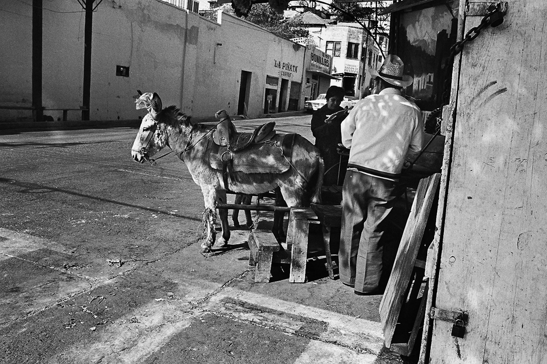 19_Burro_Break_Nogales.jpg